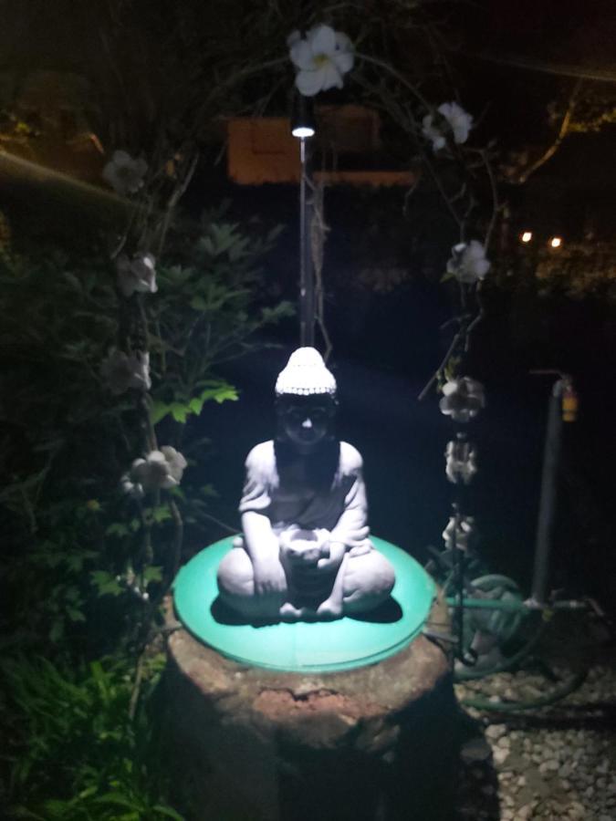 Garden Budha Relax Apartman, Parking, Bbq, Terrace Siófok Eksteriør bilde