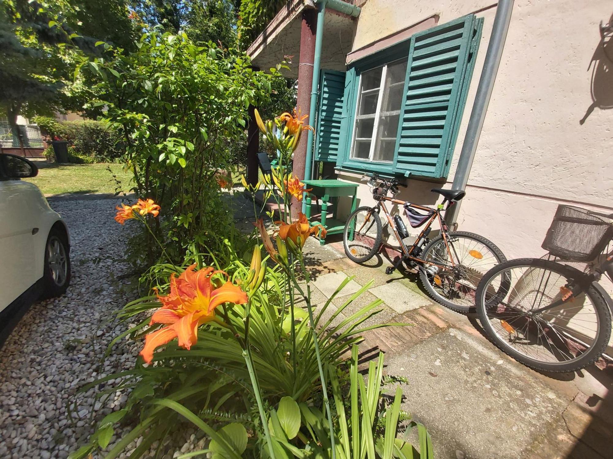 Garden Budha Relax Apartman, Parking, Bbq, Terrace Siófok Eksteriør bilde