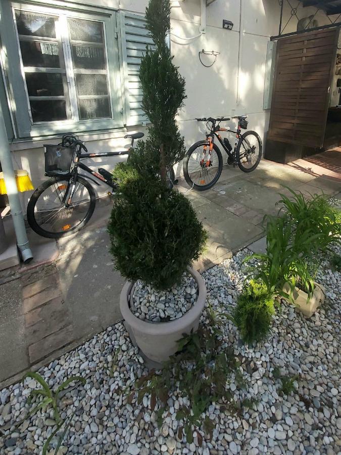 Garden Budha Relax Apartman, Parking, Bbq, Terrace Siófok Eksteriør bilde