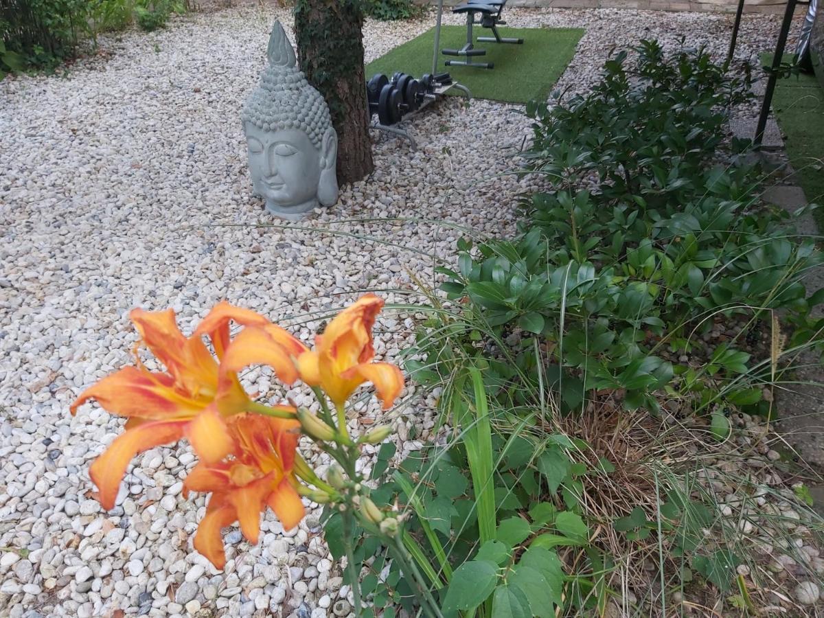 Garden Budha Relax Apartman, Parking, Bbq, Terrace Siófok Eksteriør bilde