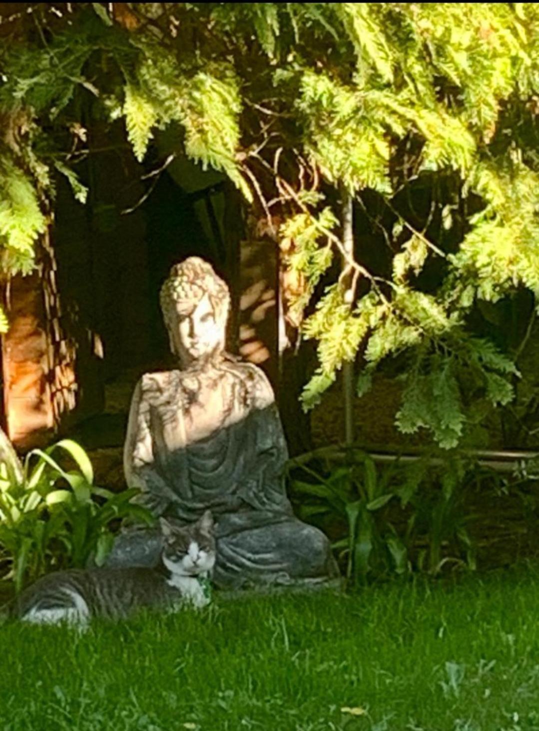 Garden Budha Relax Apartman, Parking, Bbq, Terrace Siófok Eksteriør bilde